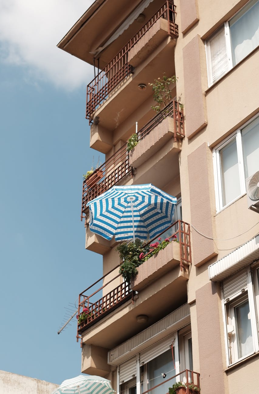 cover image 1075